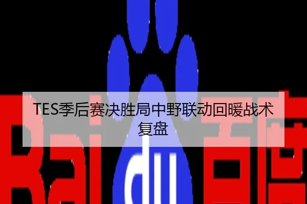 TES季后赛决胜局中野联动回暖战术复盘